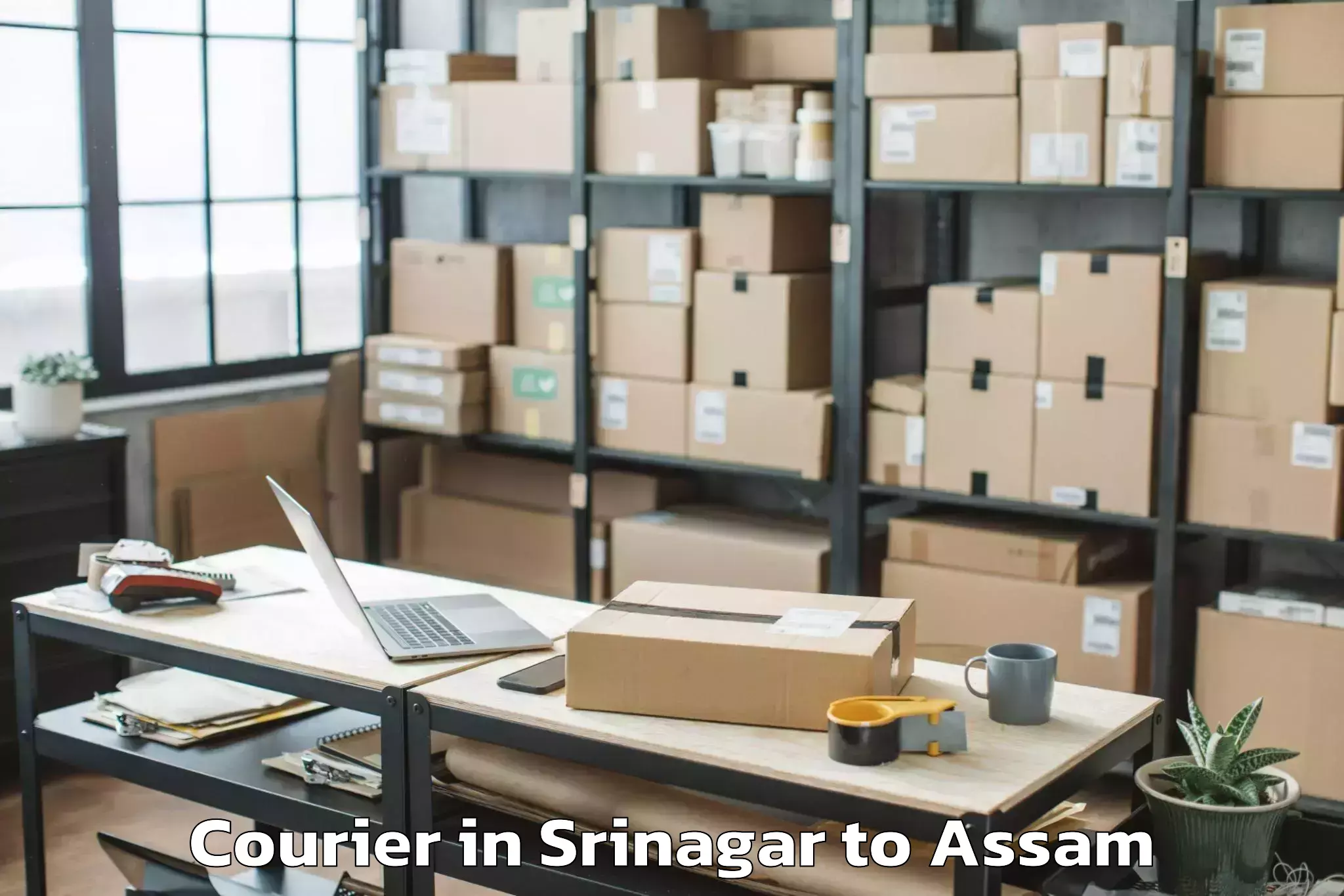 Get Srinagar to Rajapara Khatajuli Courier